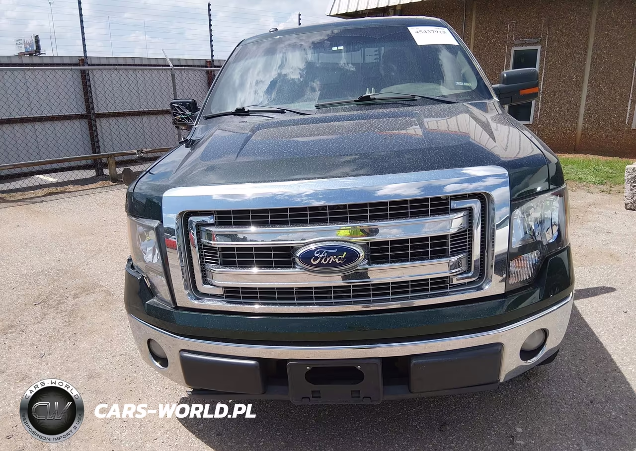 2013 Ford F-150 Xlt VIN:1FTFW1CF1DKD36703 - 13