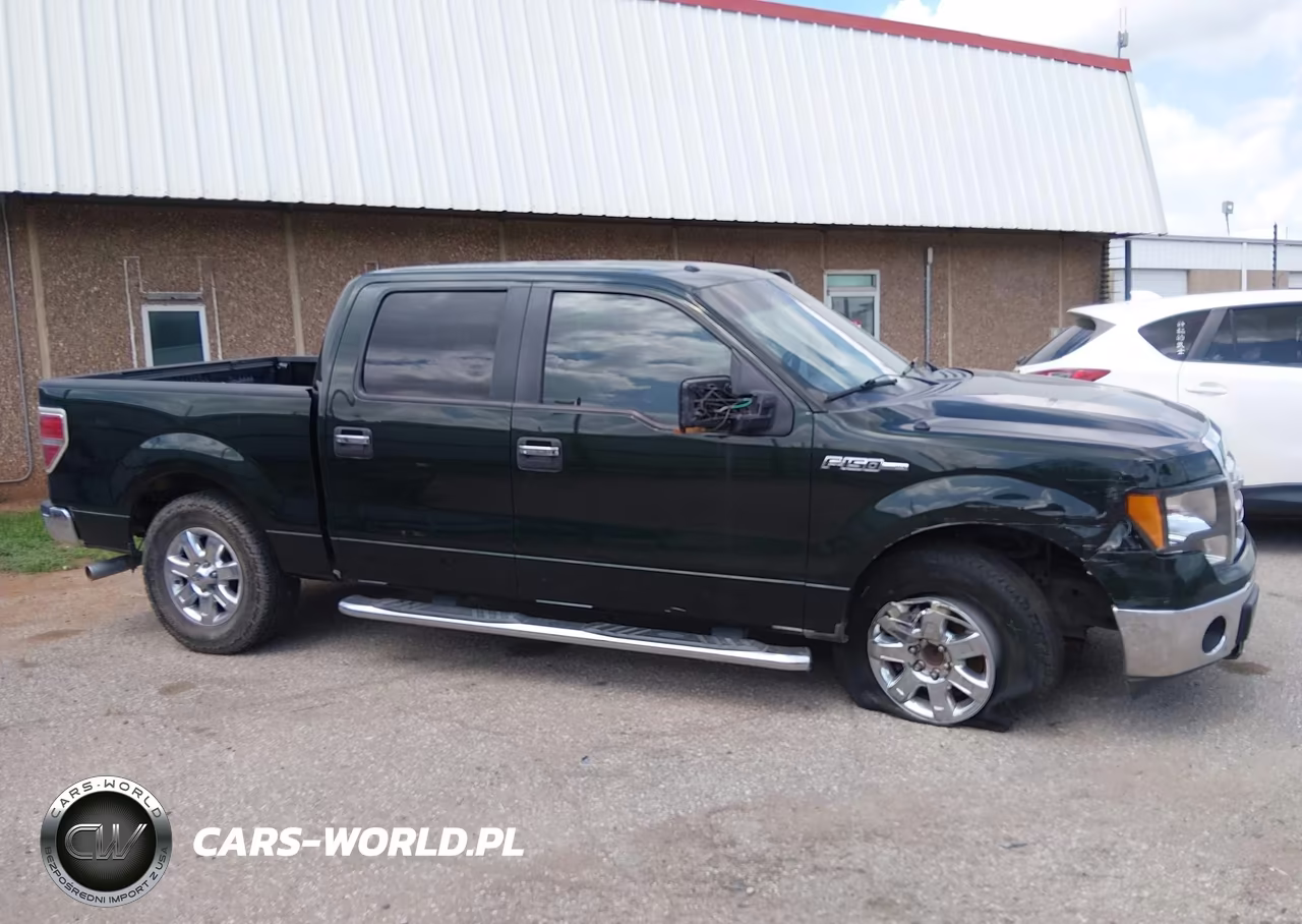 2013 Ford F-150 Xlt VIN:1FTFW1CF1DKD36703 - 14