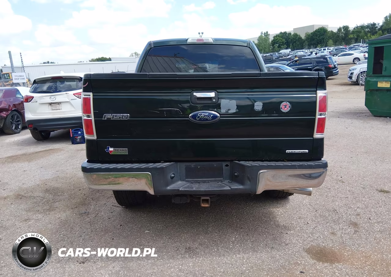 2013 Ford F-150 Xlt VIN:1FTFW1CF1DKD36703 - 17