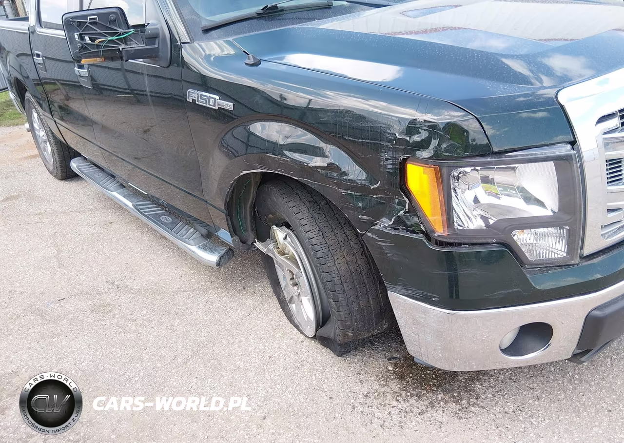 2013 Ford F-150 Xlt VIN:1FTFW1CF1DKD36703 - 6
