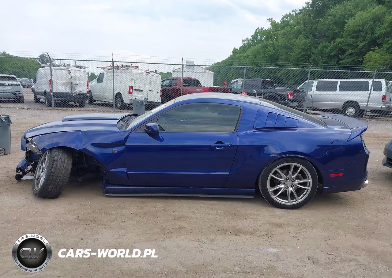 2013 Ford Mustang V6 Premium VIN:1ZVBP8AM9D5255661 - 14