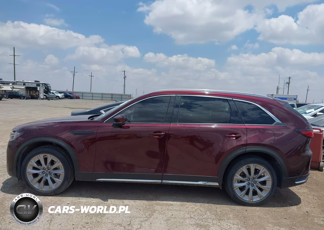 2024 Mazda Cx-90 3.3 Turbo Premium VIN:JM3KKDHD5R1174727 - 14