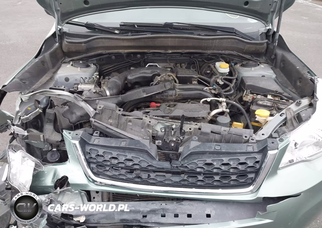 2014 Subaru Forester 2.5I Limited VIN:JF2SJAHC1EH550022 - 10