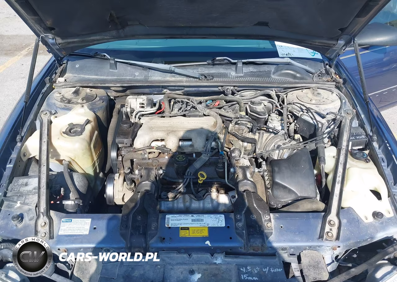 1998 Chevrolet Lumina VIN:2G1WL52M7W1116400 - 10