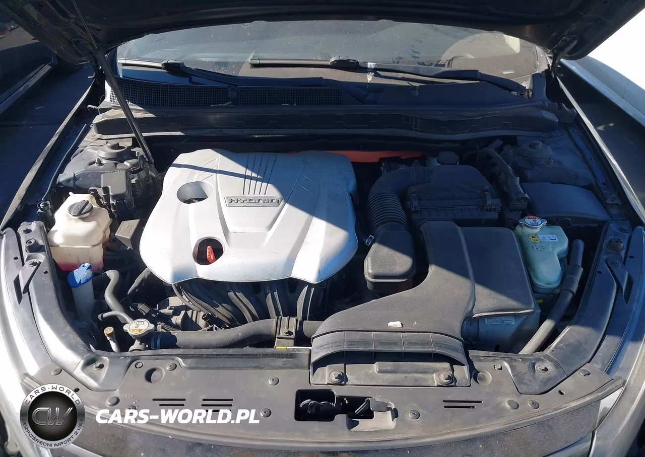 2015 Kia Optima Hybrid VIN:KNAGM4AD2F5080597 - 10