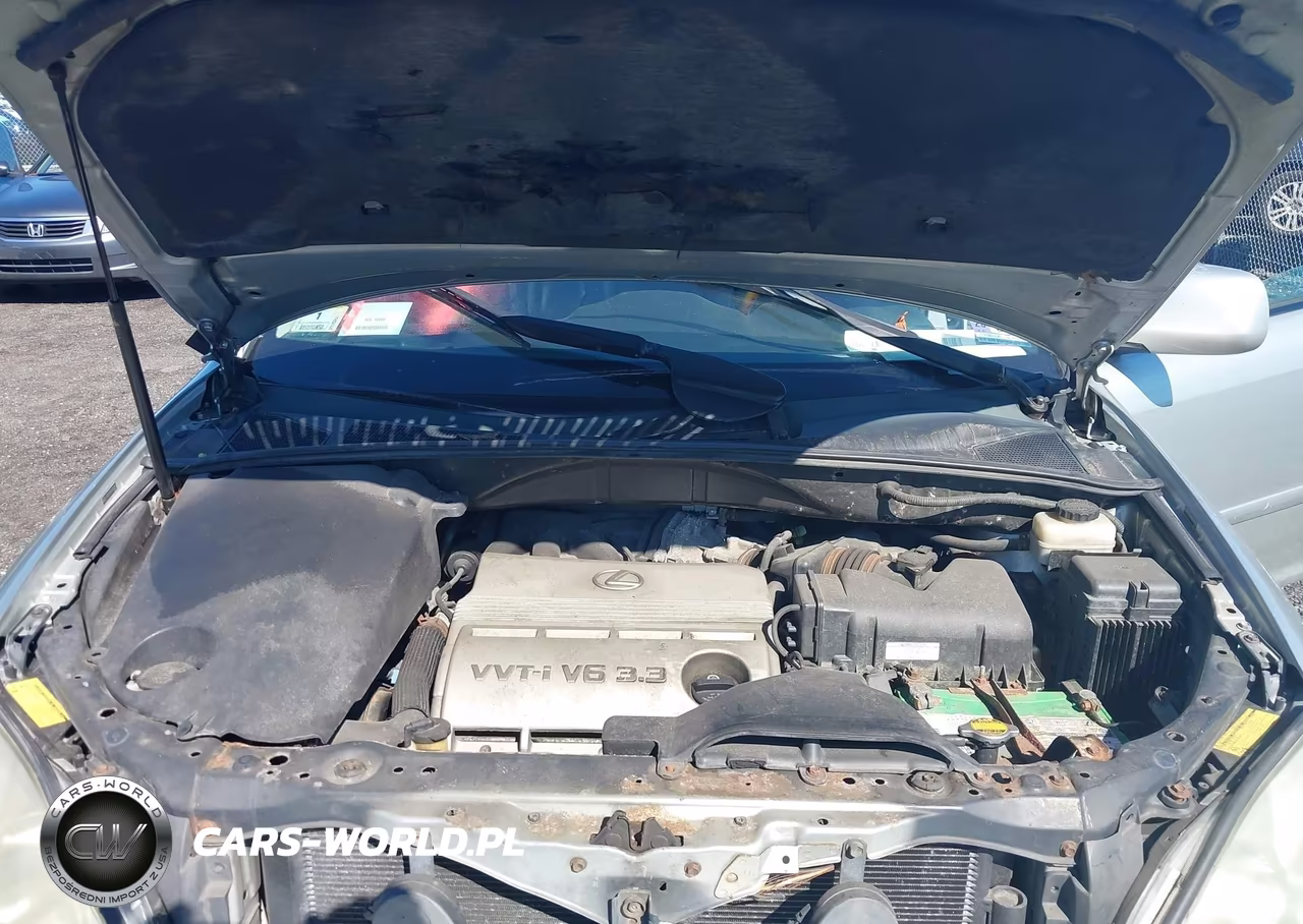 2006 Lexus Rx 330 VIN:2T2GA31U36C052876 - 10