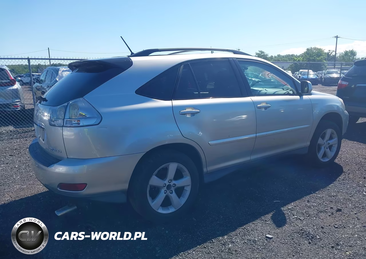 2006 Lexus Rx 330 VIN:2T2GA31U36C052876 - 4
