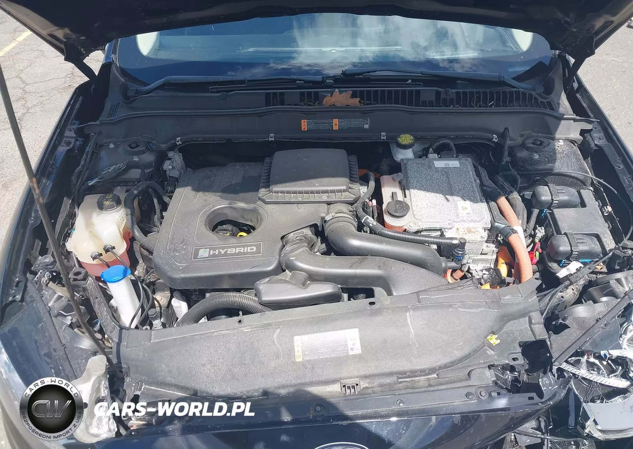2019 Ford Fusion Hybrid Se VIN:3FA6P0LU8KR258148 - 10