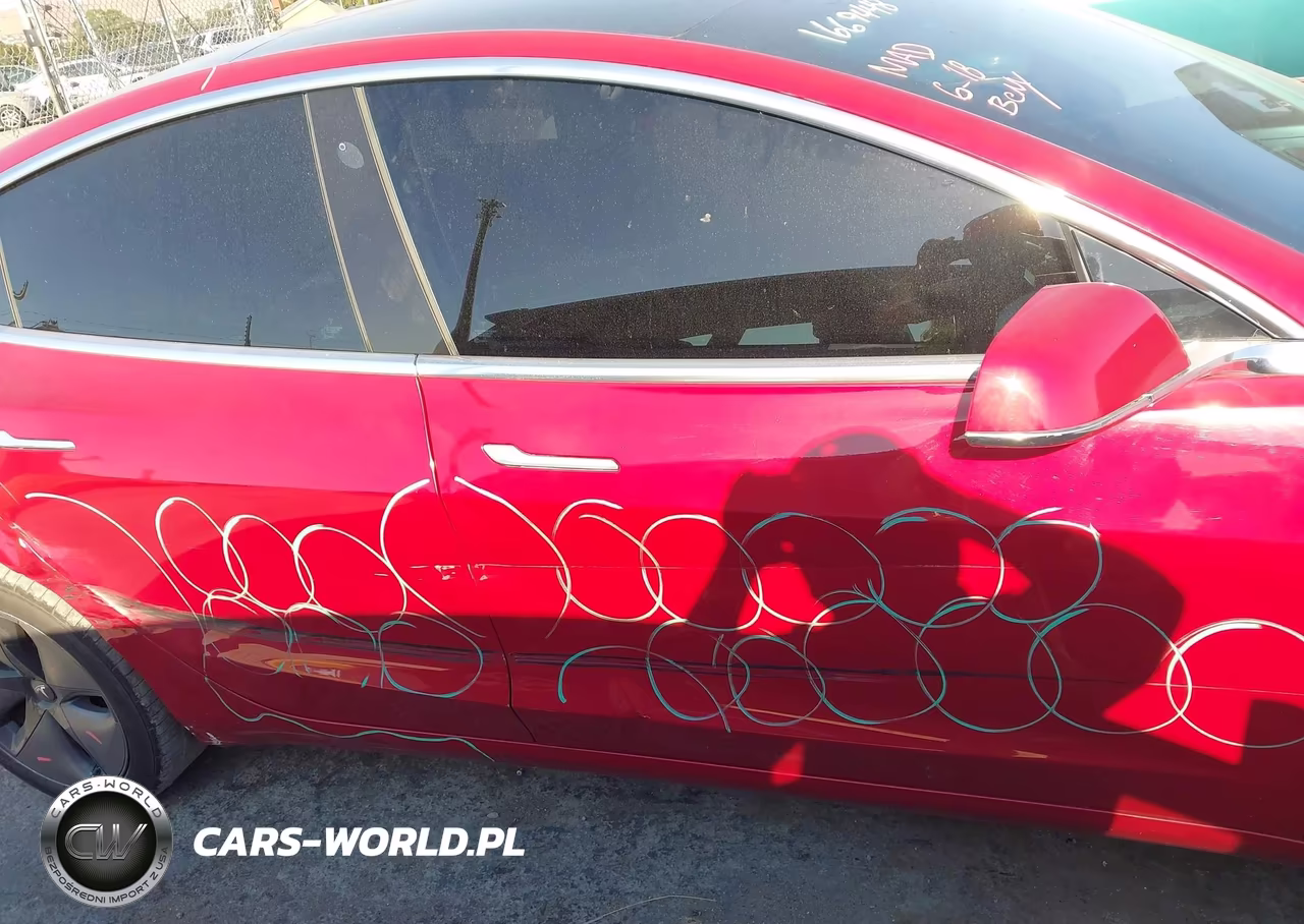 2019 Tesla Model 3 Long Range-Mid Range-Standard Range-Standard Range Plus VIN:5YJ3E1EA9KF396536 - 13