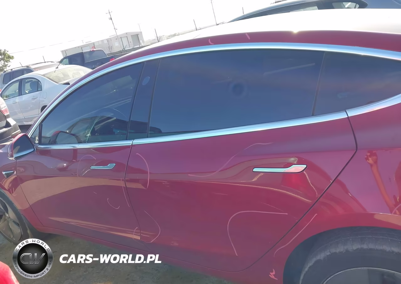 2019 Tesla Model 3 Long Range-Mid Range-Standard Range-Standard Range Plus VIN:5YJ3E1EA9KF396536 - 14