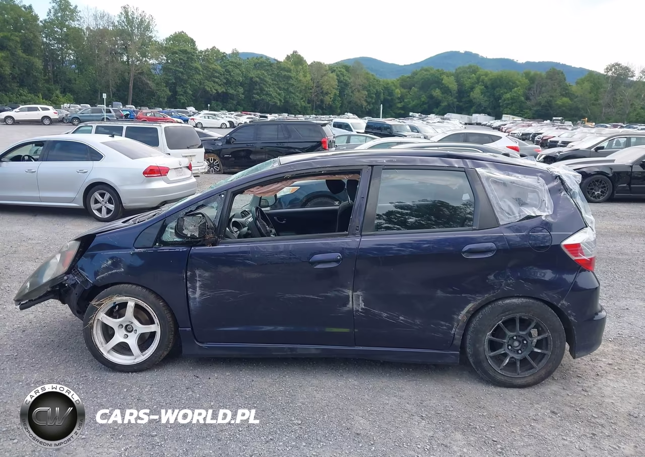 2010 Honda Fit Sport VIN:JHMGE8G48AS006818 - 15