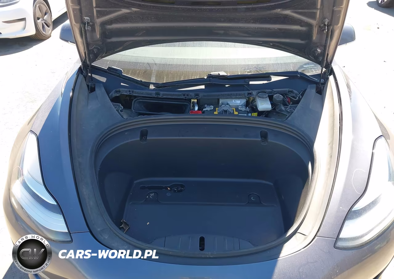 2020 Tesla Model 3 Performance Dual Motor All-Wheel Drive VIN:5YJ3E1EC6LF713496 - 10