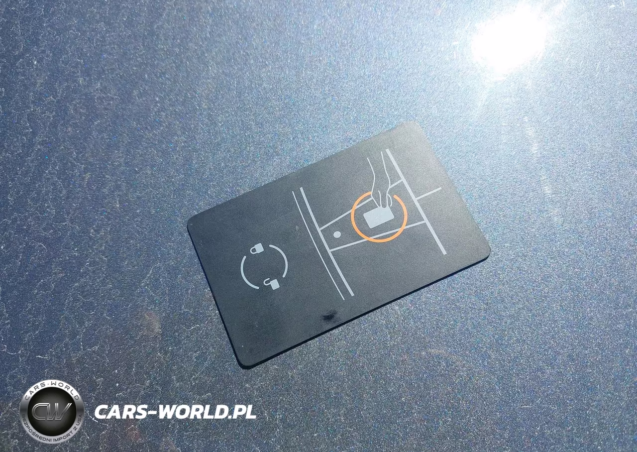 2020 Tesla Model 3 Performance Dual Motor All-Wheel Drive VIN:5YJ3E1EC6LF713496 - 11