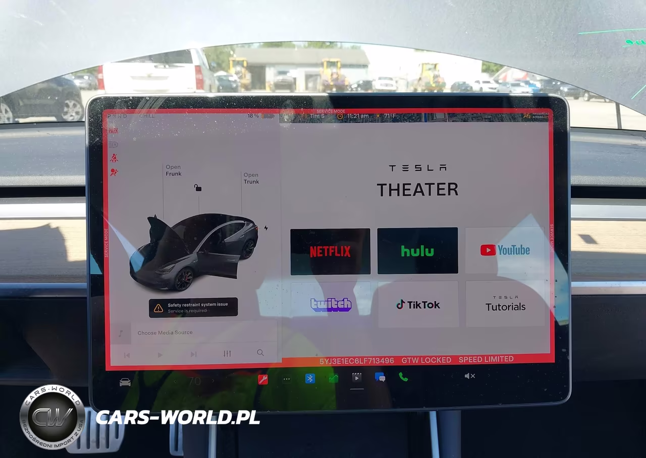 2020 Tesla Model 3 Performance Dual Motor All-Wheel Drive VIN:5YJ3E1EC6LF713496 - 19