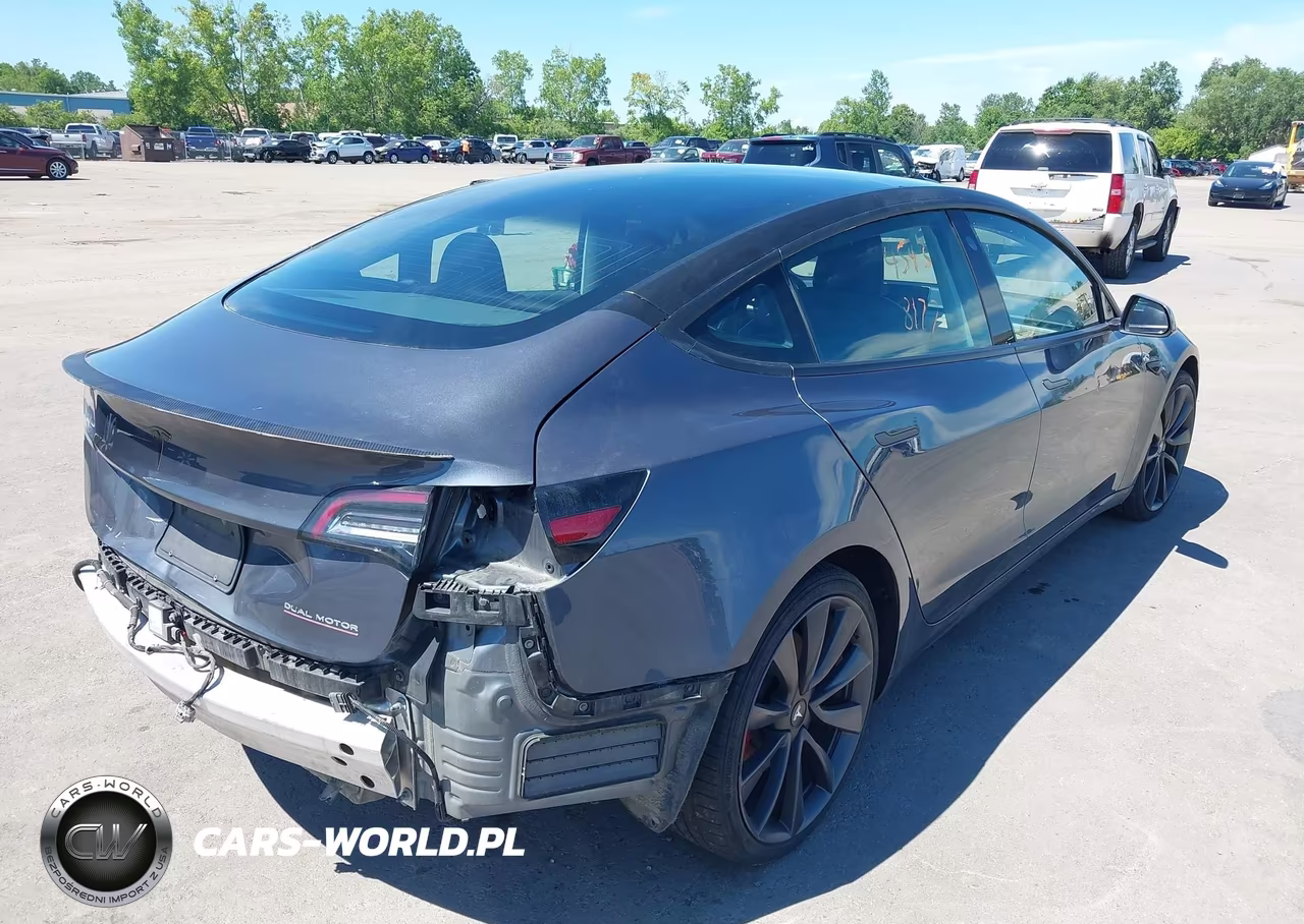 2020 Tesla Model 3 Performance Dual Motor All-Wheel Drive VIN:5YJ3E1EC6LF713496 - 4