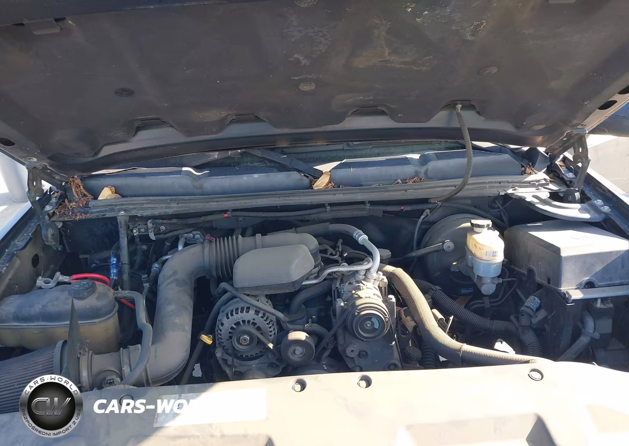 2008 Chevrolet Silverado 1500 Work Truck VIN:1GCEC14X48Z303283 - 10