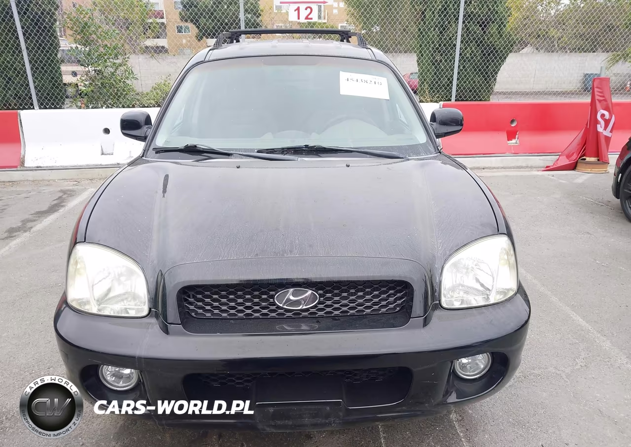 2004 Hyundai Santa Fe Gls VIN:KM8SC13D34U637589 - 12