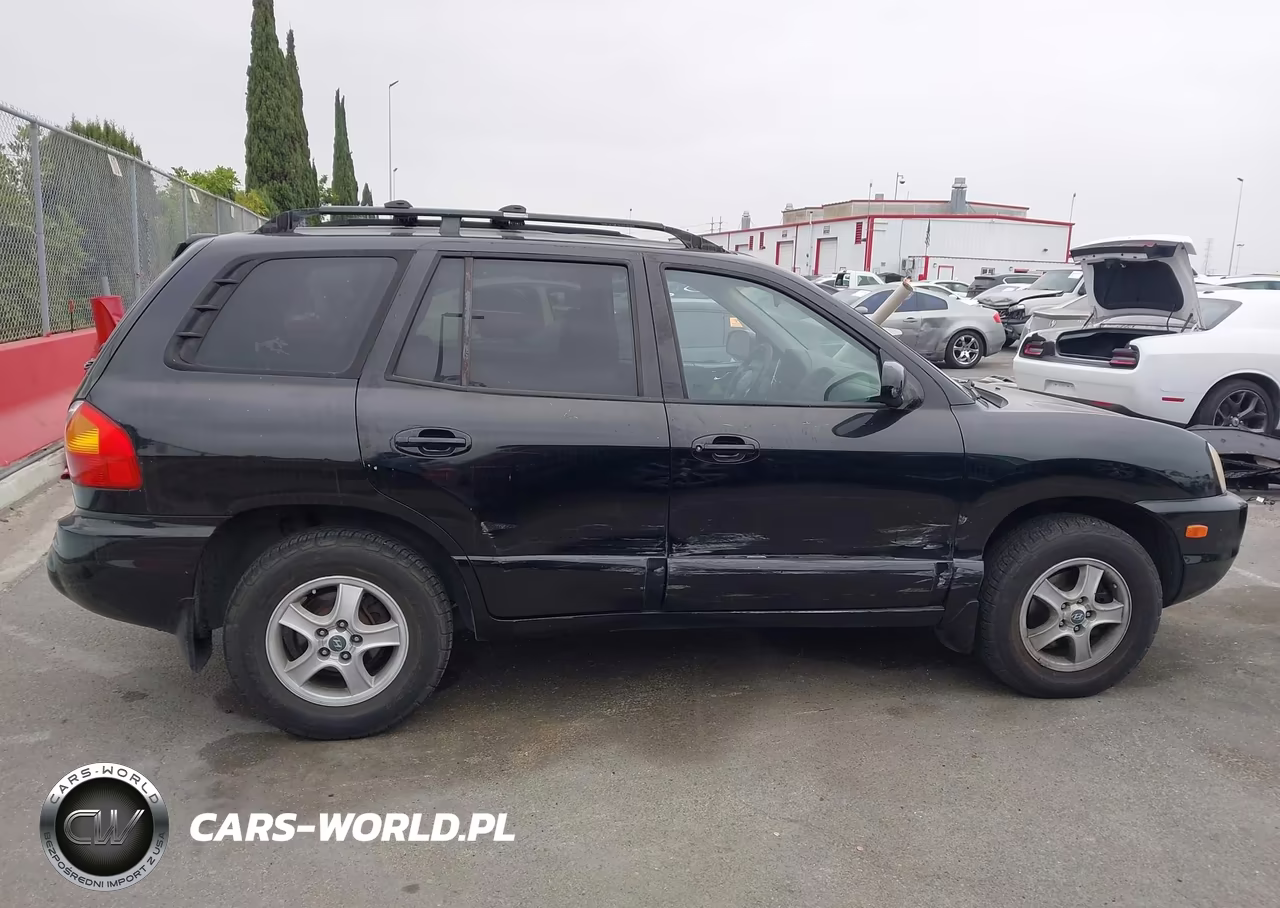 2004 Hyundai Santa Fe Gls VIN:KM8SC13D34U637589 - 13