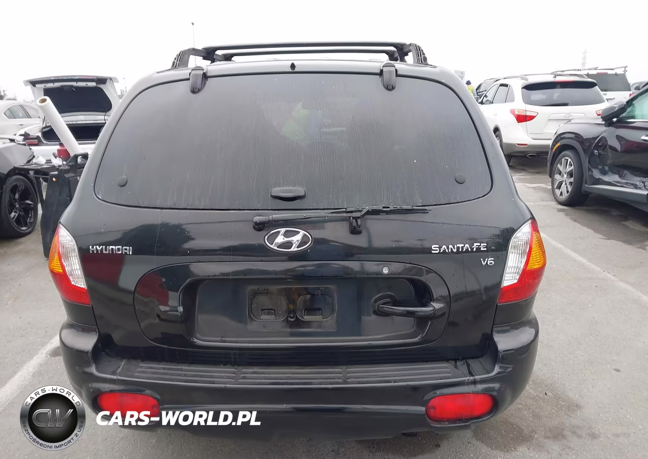 2004 Hyundai Santa Fe Gls VIN:KM8SC13D34U637589 - 16