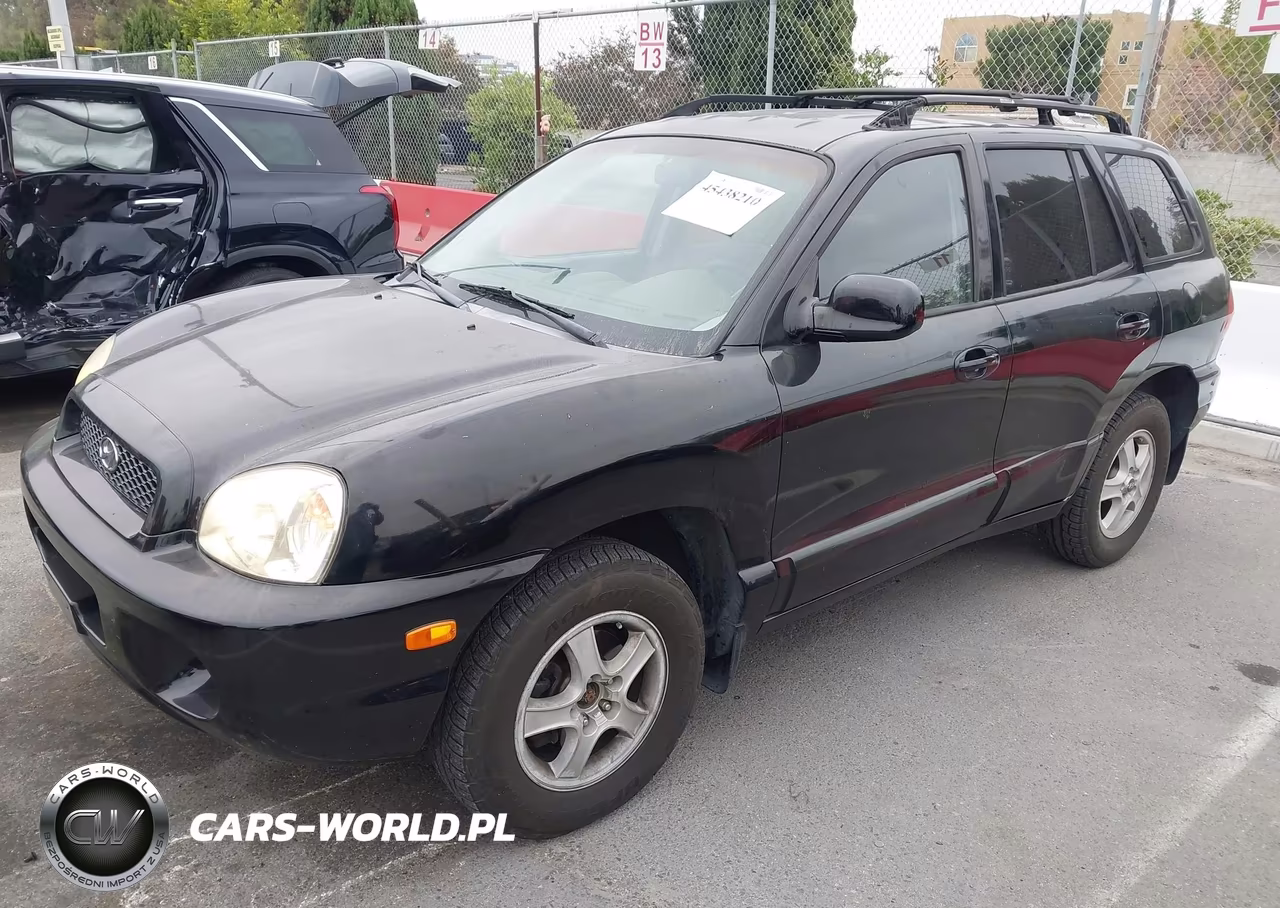 2004 Hyundai Santa Fe Gls VIN:KM8SC13D34U637589 - 2