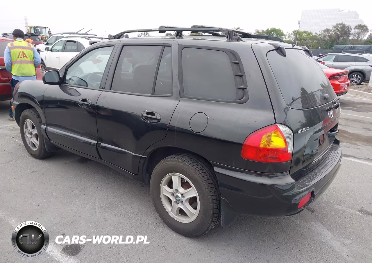 2004 Hyundai Santa Fe Gls VIN:KM8SC13D34U637589 - 3