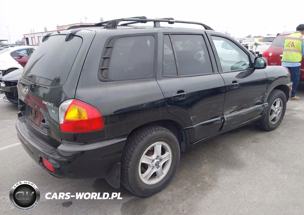 2004 Hyundai Santa Fe Gls VIN:KM8SC13D34U637589 - 4