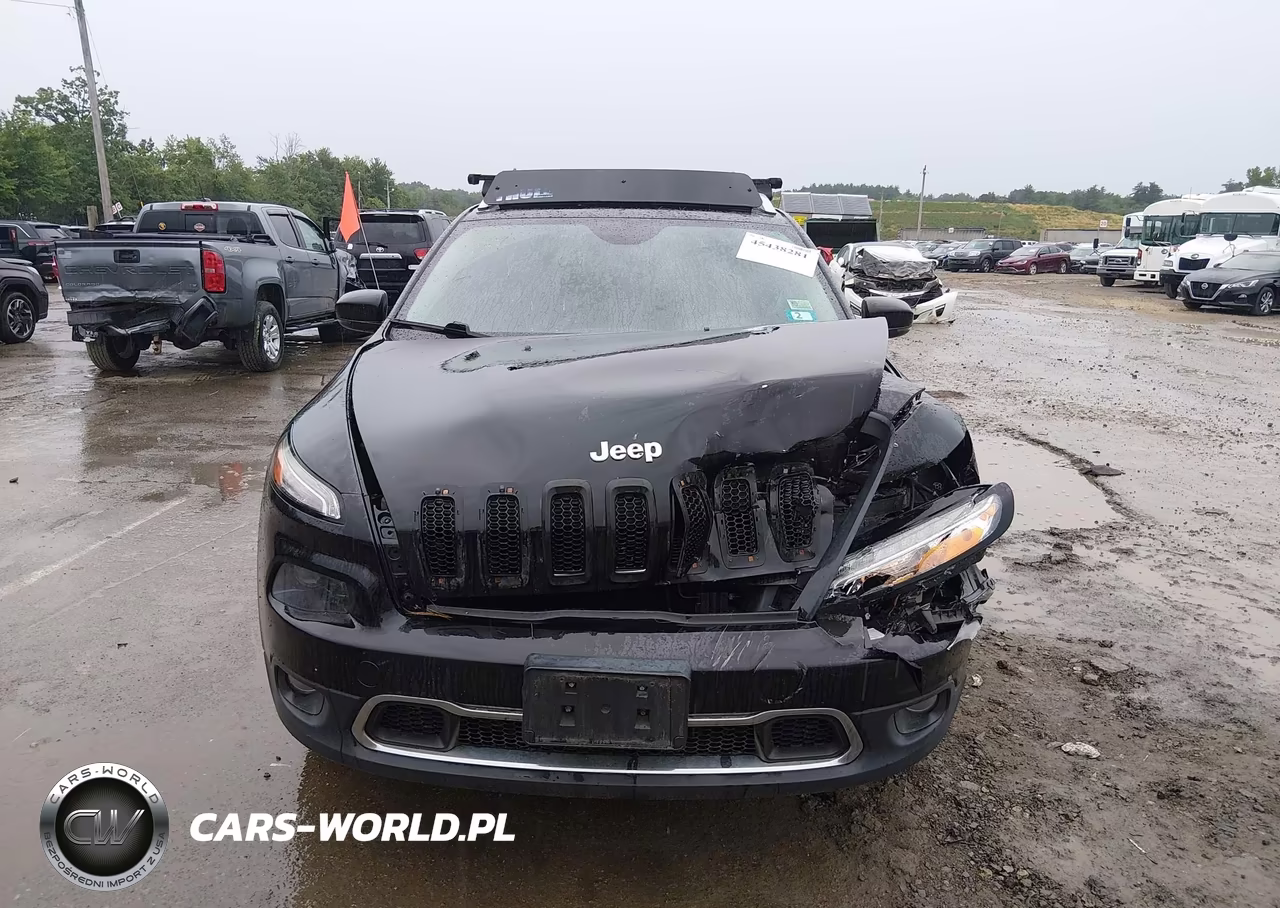 2014 Jeep Cherokee Limited VIN:1C4PJMDB8EW256938 - 12