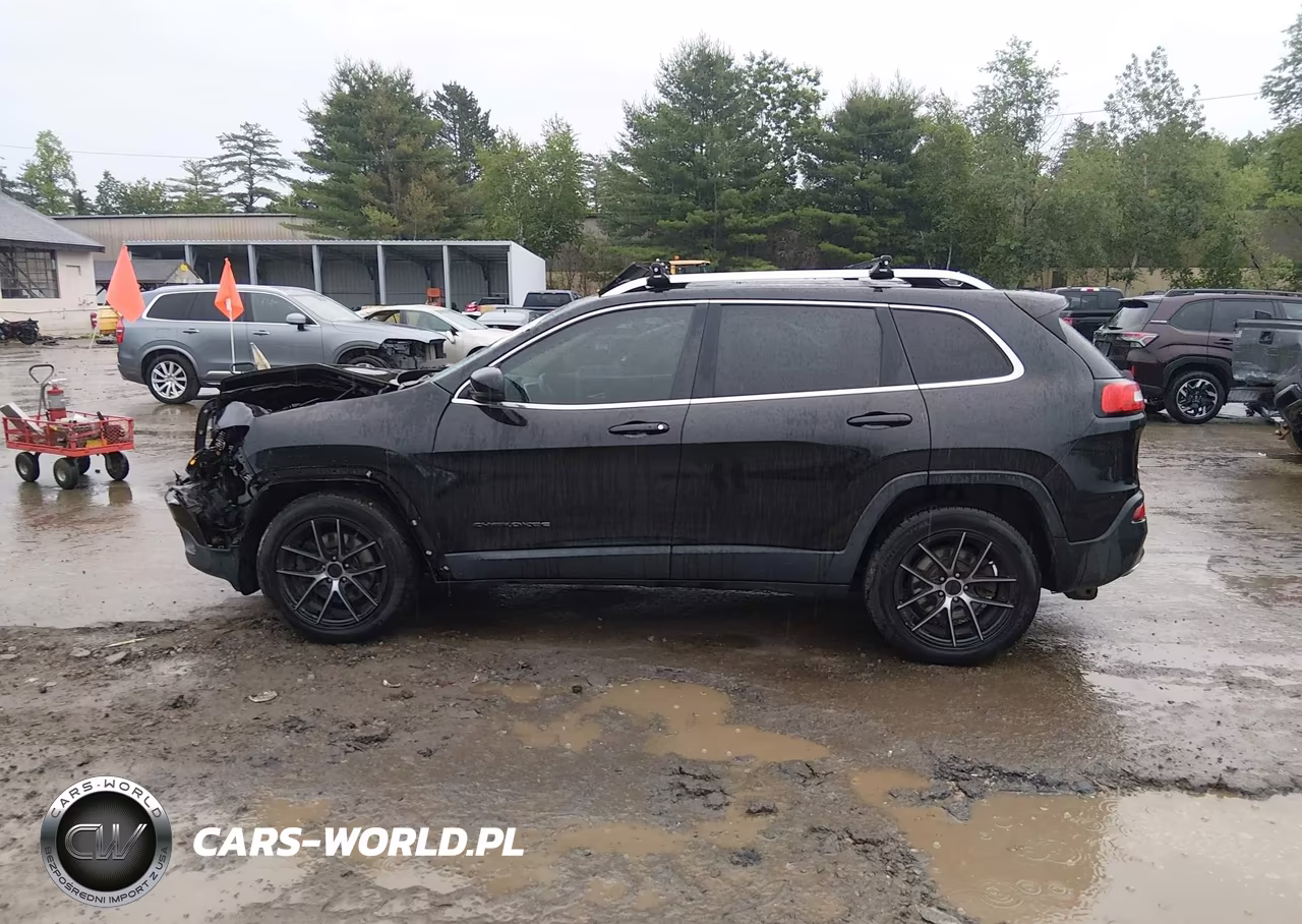 2014 Jeep Cherokee Limited VIN:1C4PJMDB8EW256938 - 14