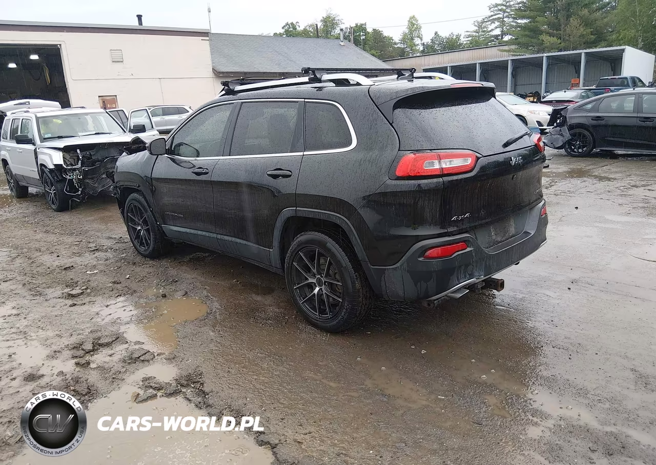 2014 Jeep Cherokee Limited VIN:1C4PJMDB8EW256938 - 3