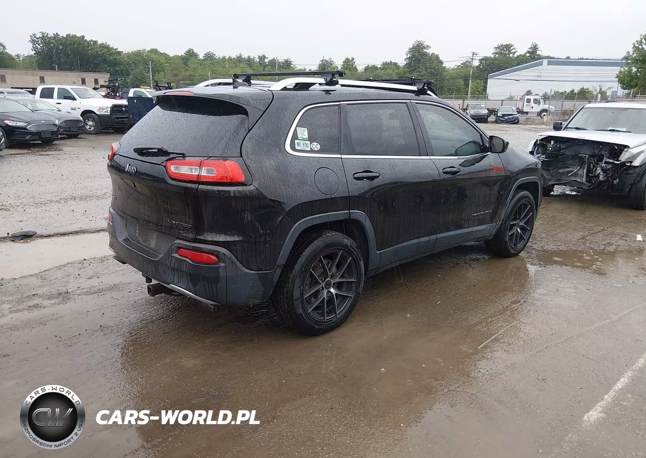 2014 Jeep Cherokee Limited VIN:1C4PJMDB8EW256938 - 4