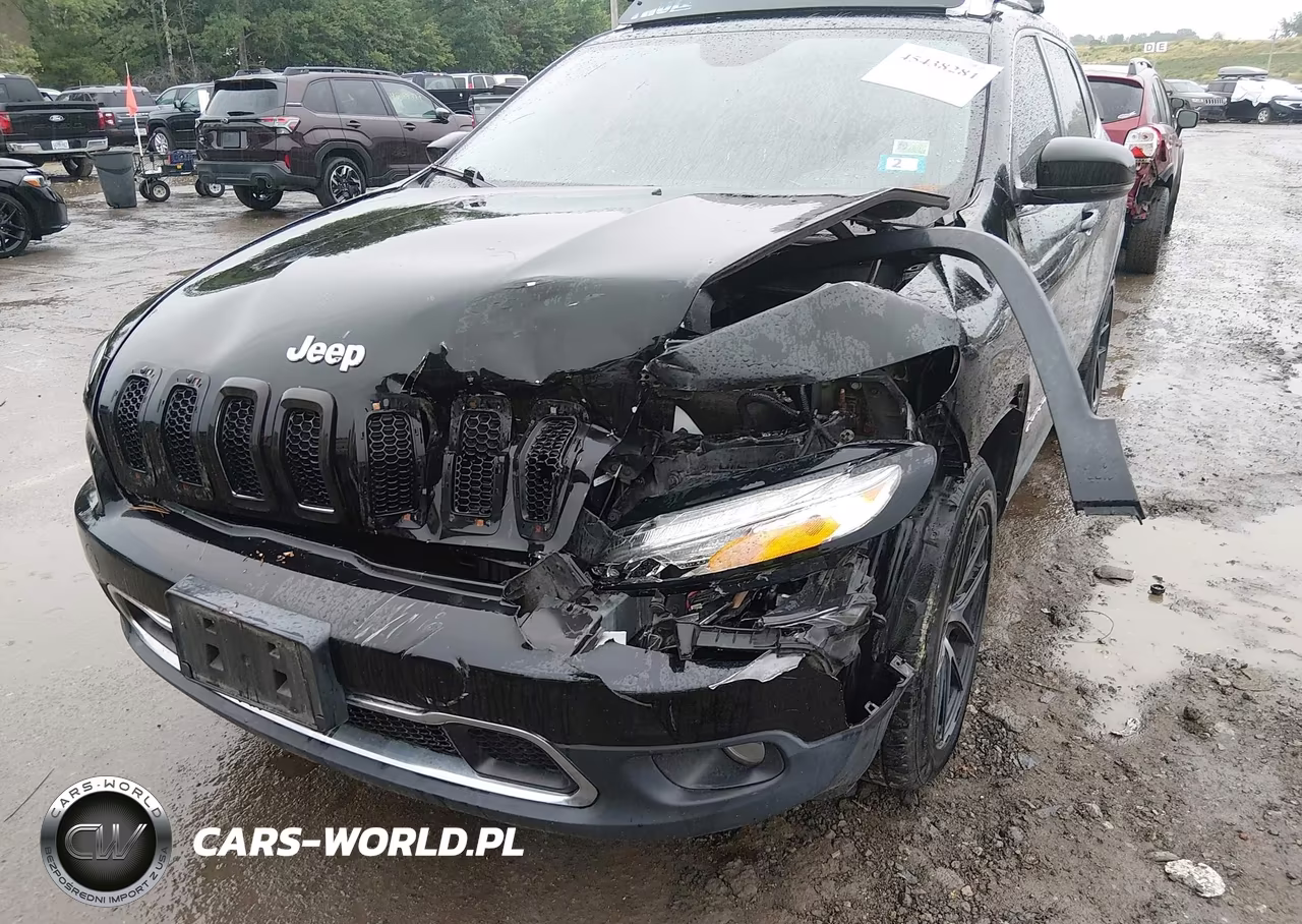 2014 Jeep Cherokee Limited VIN:1C4PJMDB8EW256938 - 6