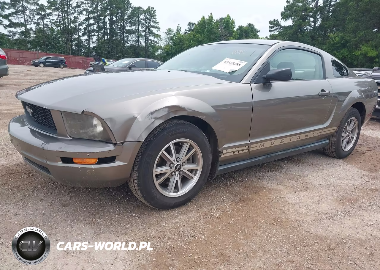2005 Ford Mustang V6 Deluxe-V6 Premium VIN:1ZVFT80NX55189095 - 2