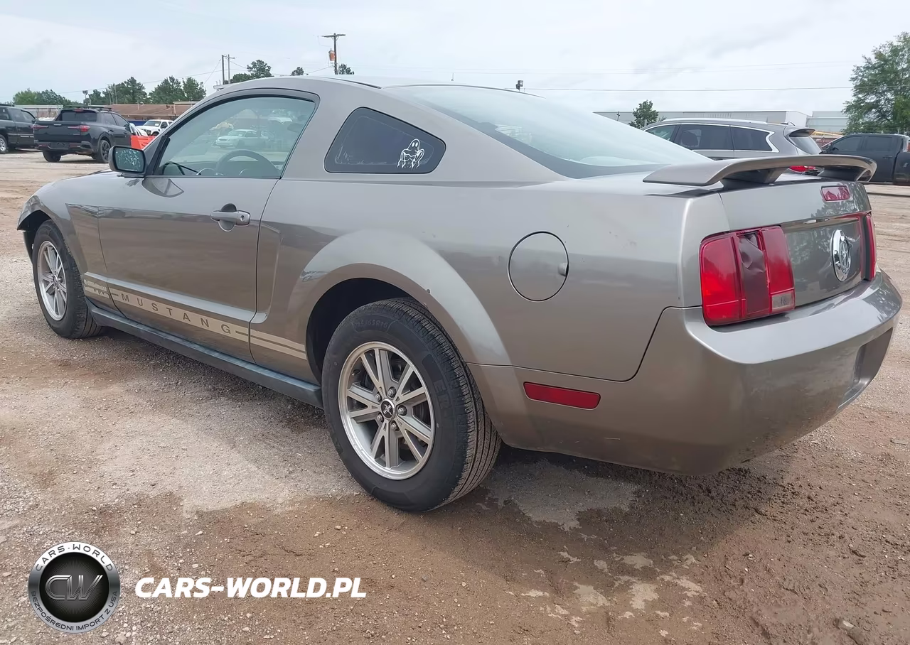 2005 Ford Mustang V6 Deluxe-V6 Premium VIN:1ZVFT80NX55189095 - 3