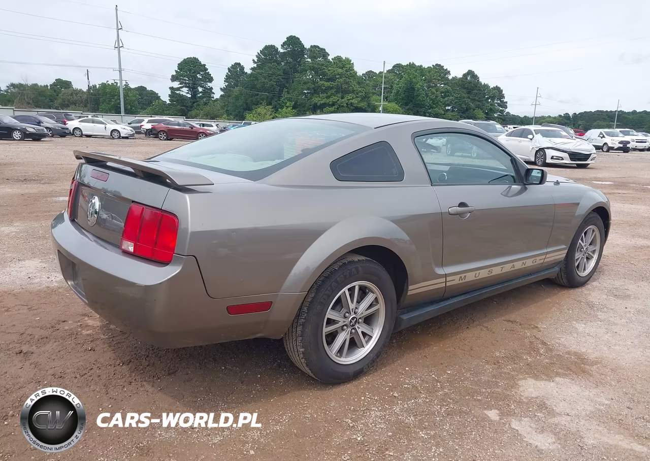 2005 Ford Mustang V6 Deluxe-V6 Premium VIN:1ZVFT80NX55189095 - 4