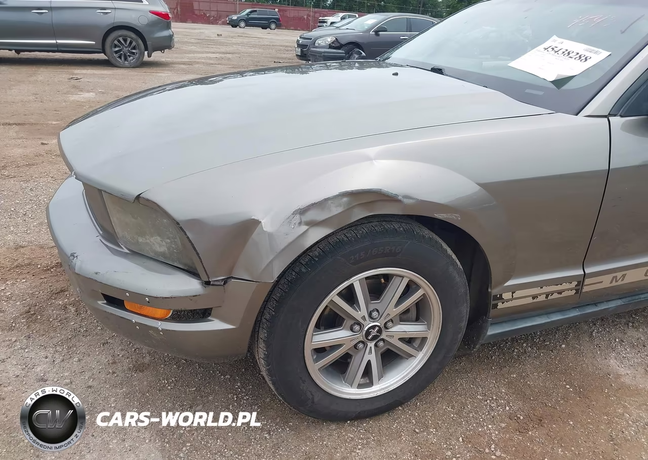 2005 Ford Mustang V6 Deluxe-V6 Premium VIN:1ZVFT80NX55189095 - 6