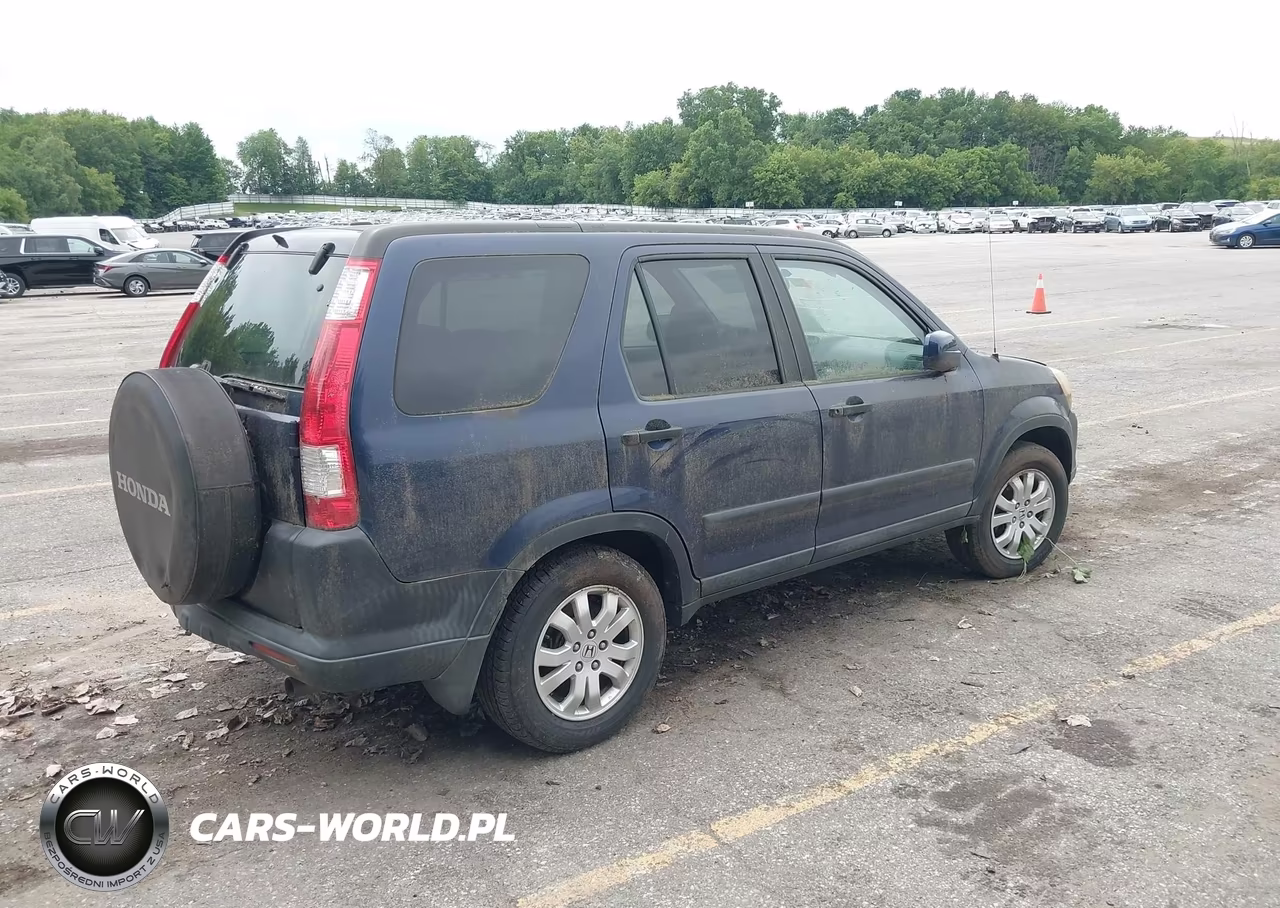 2005 Honda Cr-V Ex VIN:SHSRD78855U344682 - 4