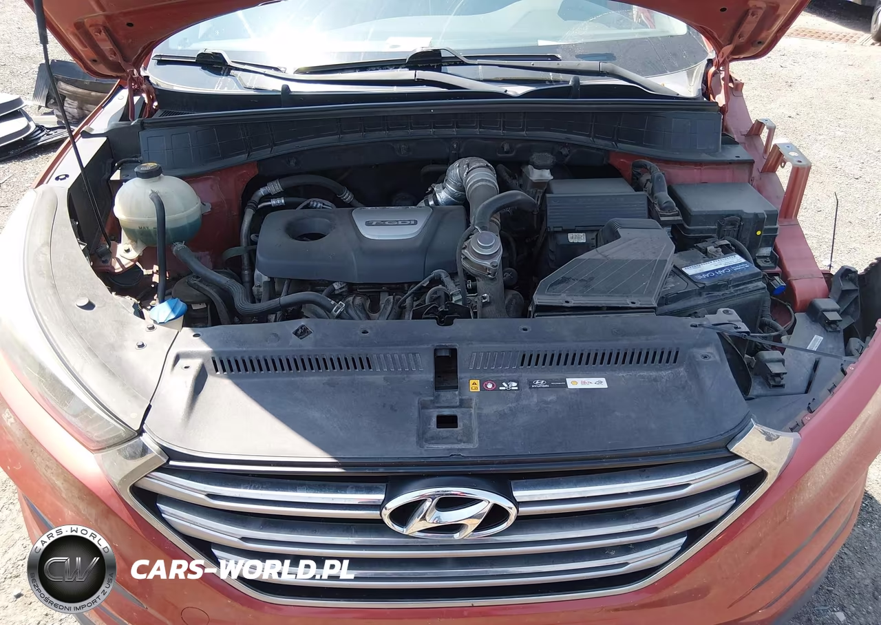2017 Hyundai Tucson Eco VIN:KM8J33A21HU385971 - 10