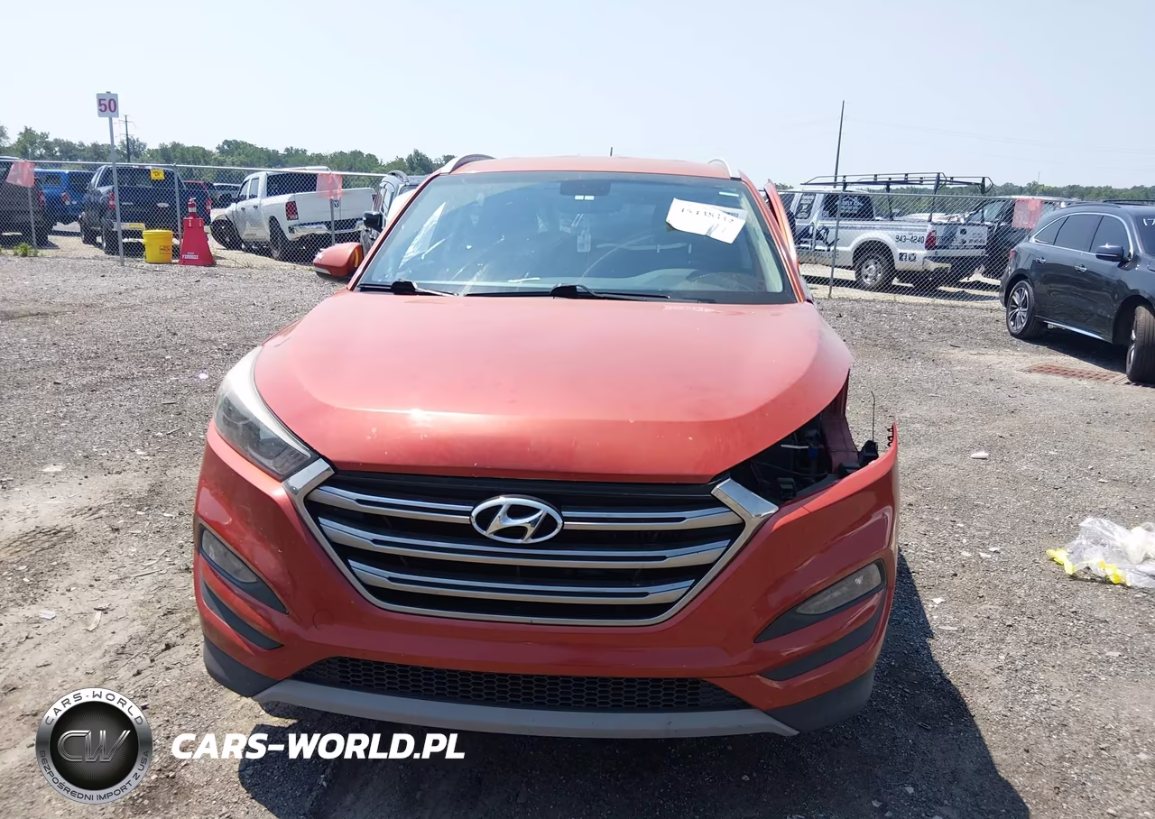 2017 Hyundai Tucson Eco VIN:KM8J33A21HU385971 - 13