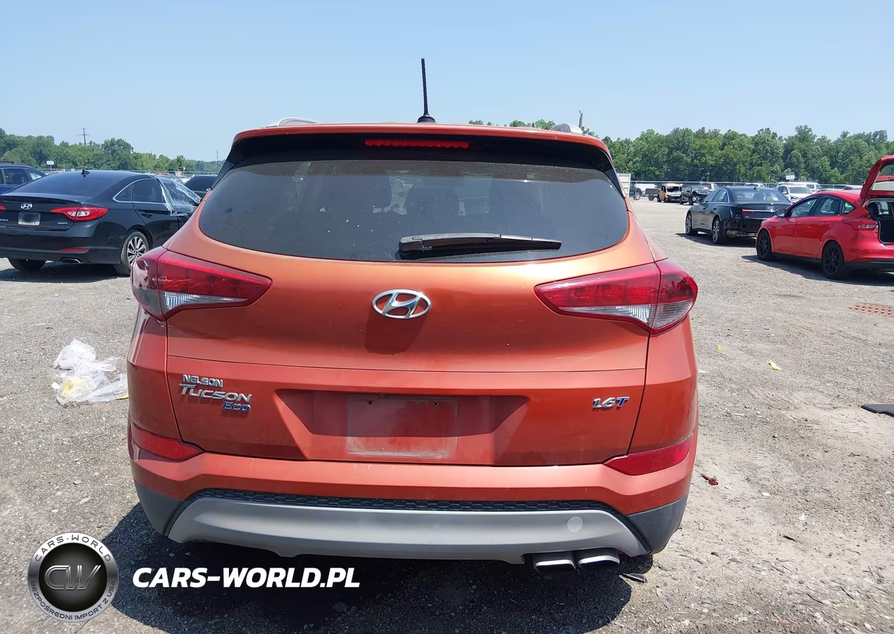 2017 Hyundai Tucson Eco VIN:KM8J33A21HU385971 - 17