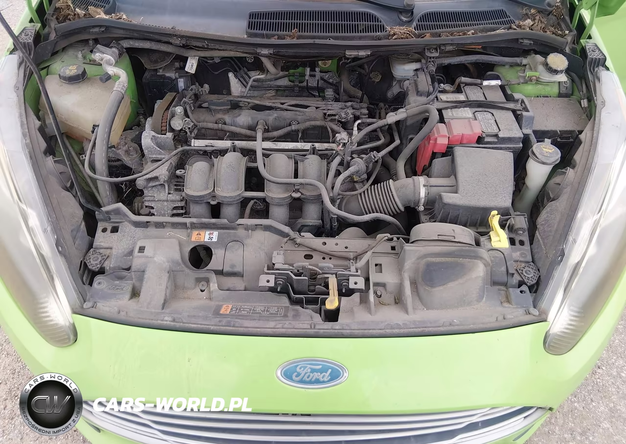 2015 Ford Fiesta Se VIN:3FADP4EJ7FM161480 - 10