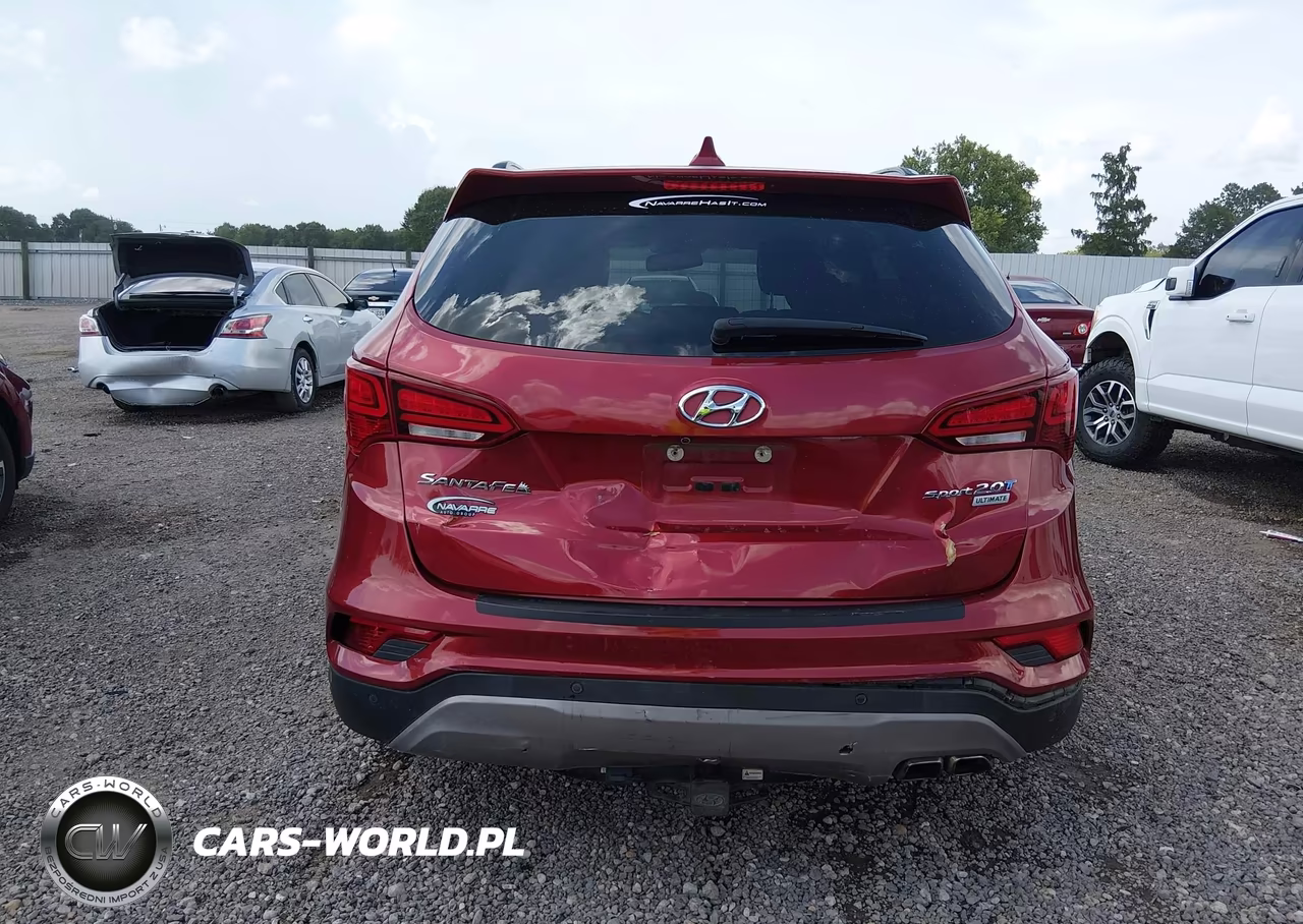 2017 Hyundai Santa Fe Sport 2.0T Ultimate VIN:5XYZW4LA1HG449498 - 16