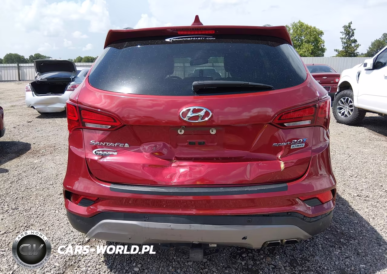 2017 Hyundai Santa Fe Sport 2.0T Ultimate VIN:5XYZW4LA1HG449498 - 6