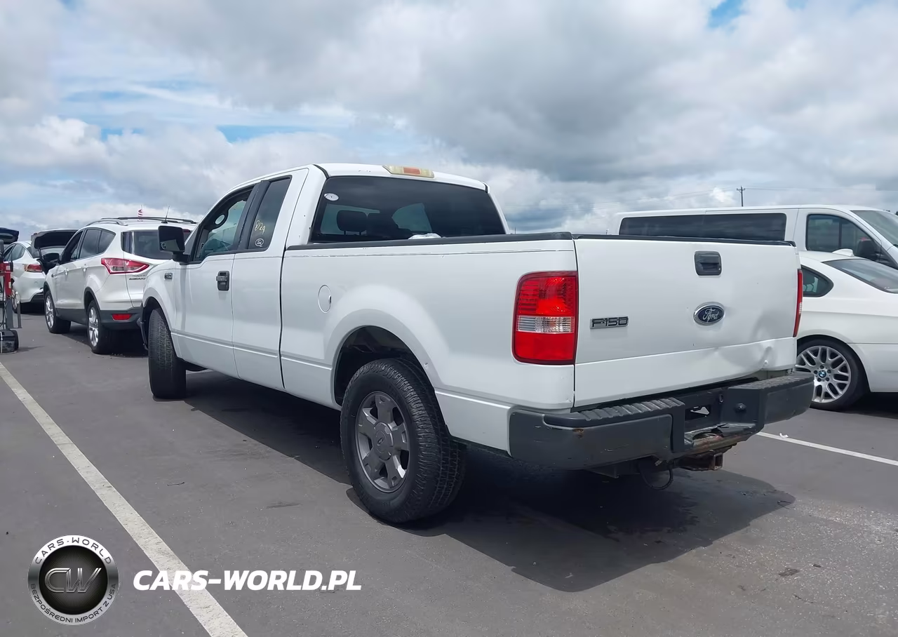 2005 Ford F-150 Stx-Xl-Xlt VIN:1FTRX12W65NA19740 - 3