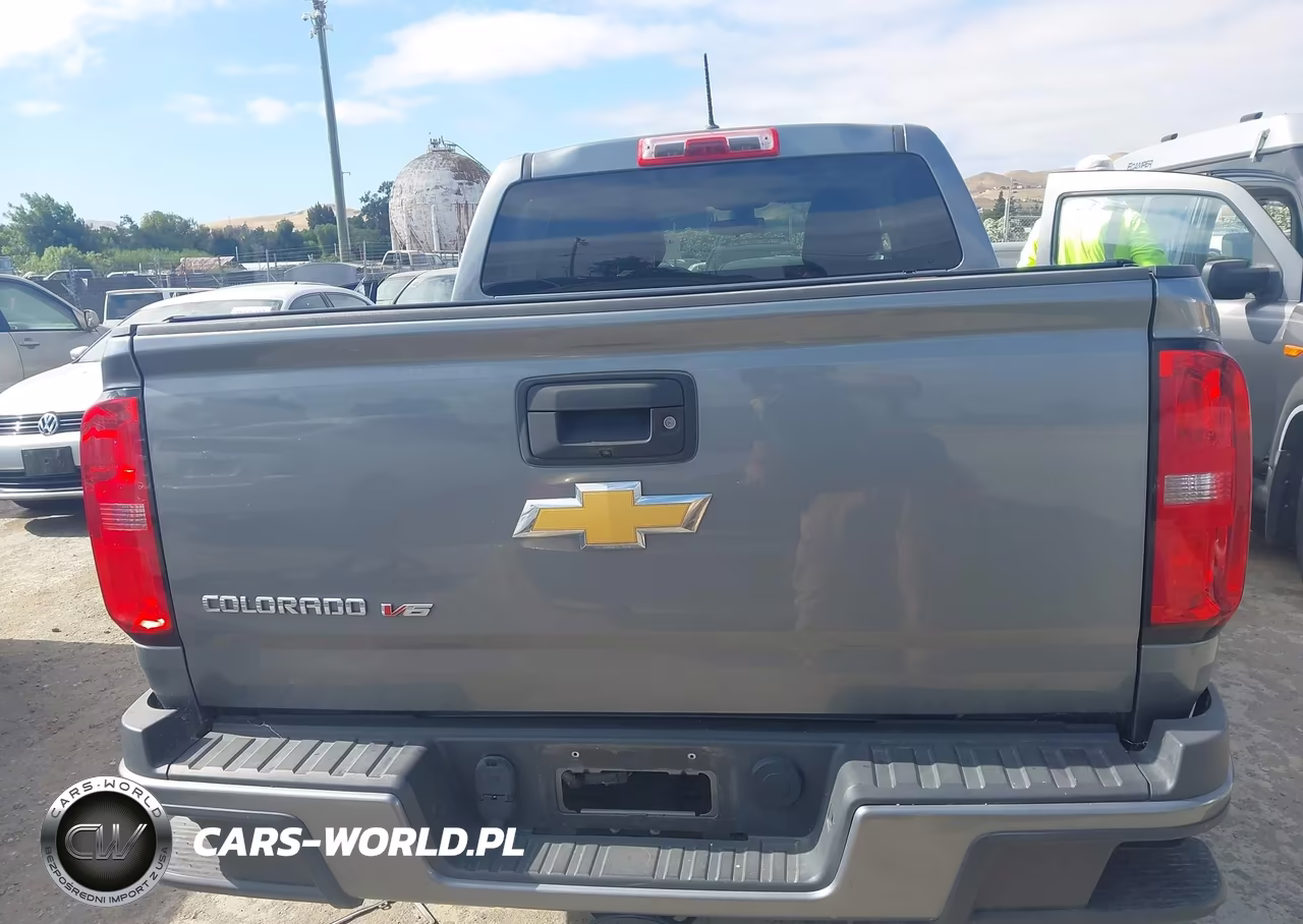 2019 Chevrolet Colorado Wt VIN:1GCGSBENXK1245233 - 16