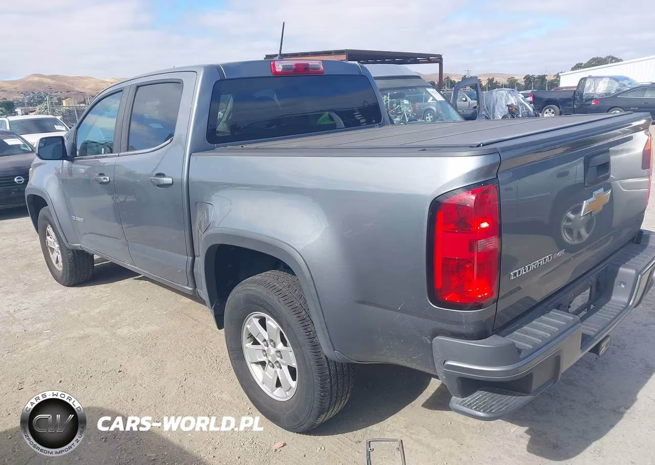 2019 Chevrolet Colorado Wt VIN:1GCGSBENXK1245233 - 3