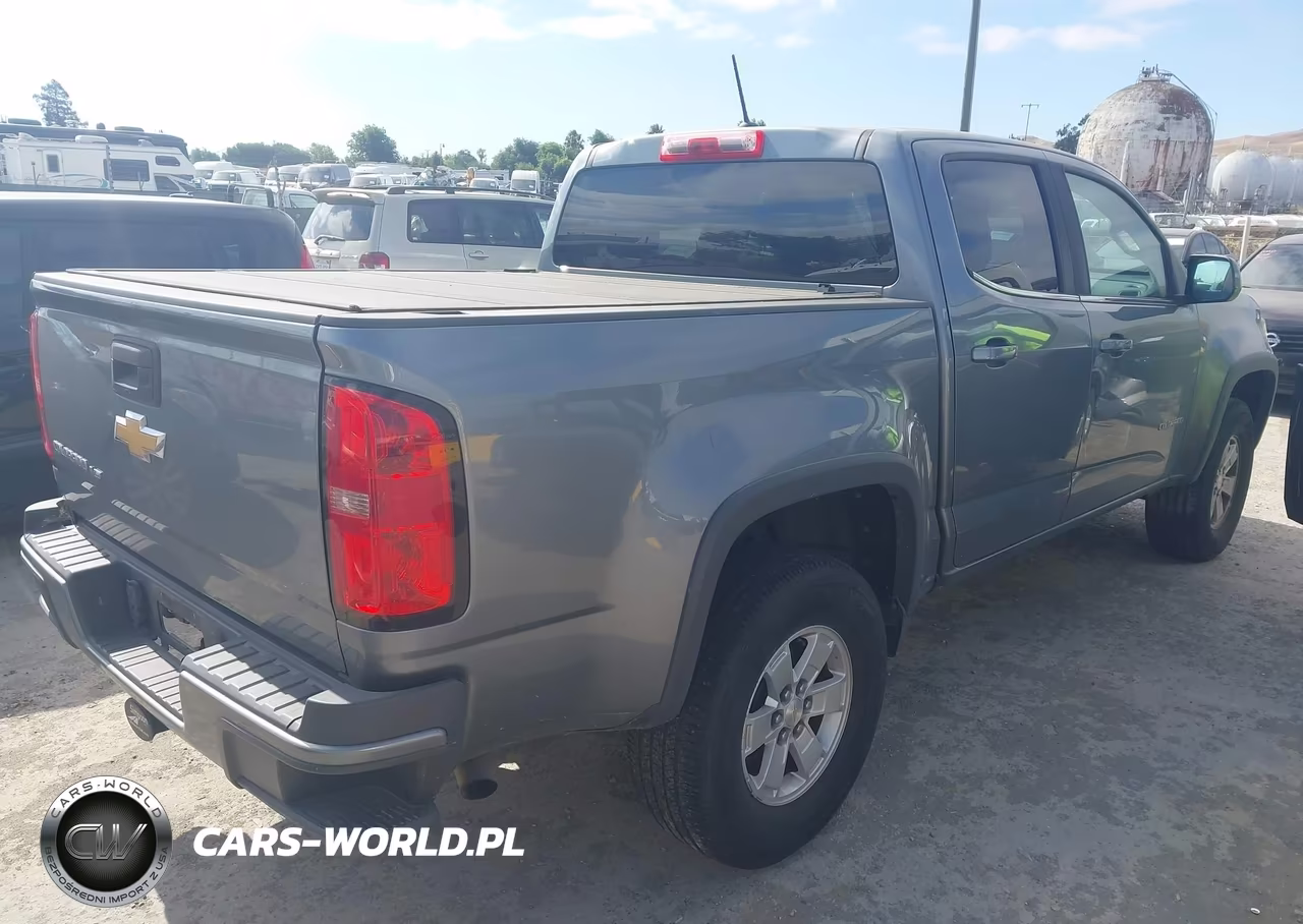 2019 Chevrolet Colorado Wt VIN:1GCGSBENXK1245233 - 4