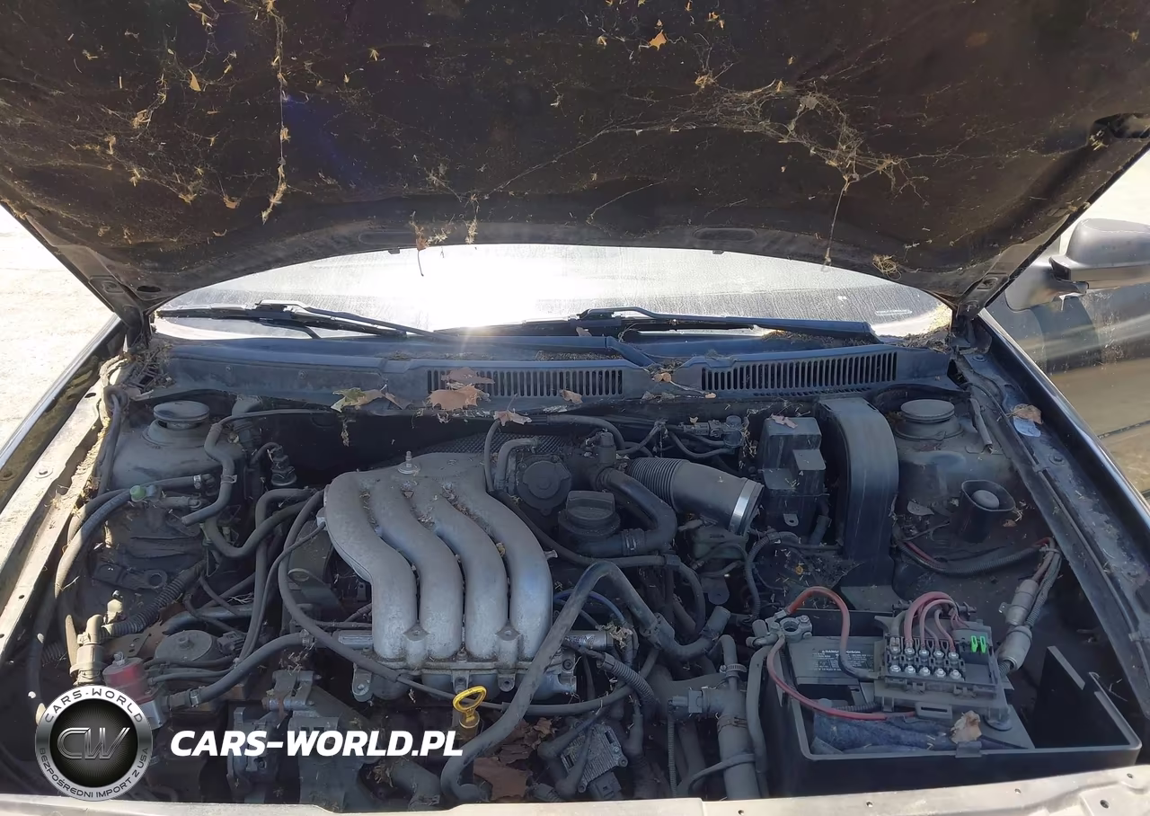 1999 Volkswagen New Golf Gls VIN:WVWGC31J1XW605246 - 10