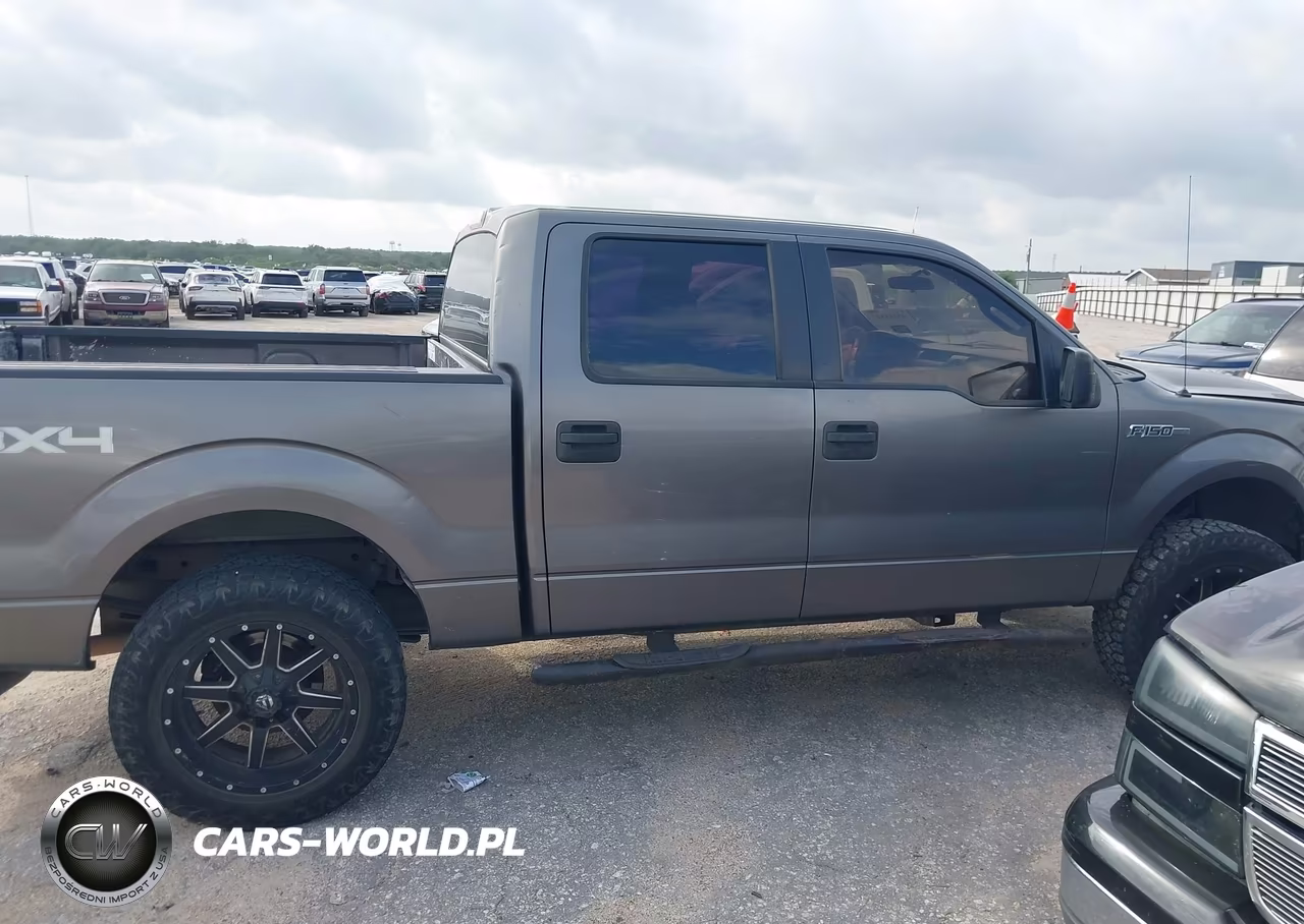 2010 Ford F-150 Xl-Xlt VIN:1FTEW1E80AFD42751 - 13