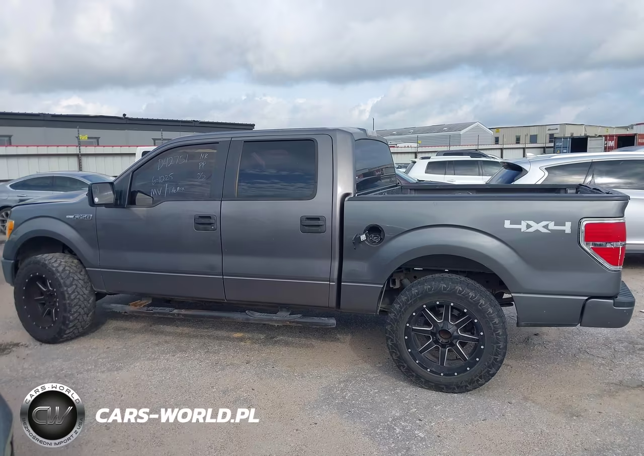 2010 Ford F-150 Xl-Xlt VIN:1FTEW1E80AFD42751 - 14