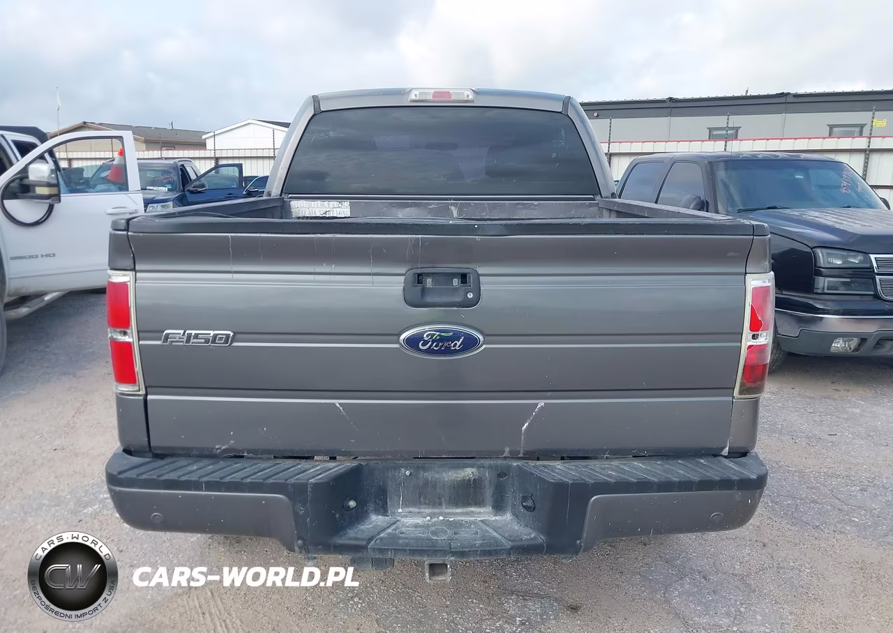 2010 Ford F-150 Xl-Xlt VIN:1FTEW1E80AFD42751 - 16